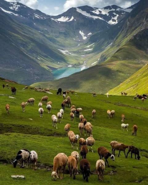 5 Nights 6 Days Vaishno Devi And Kashmir Tour Package