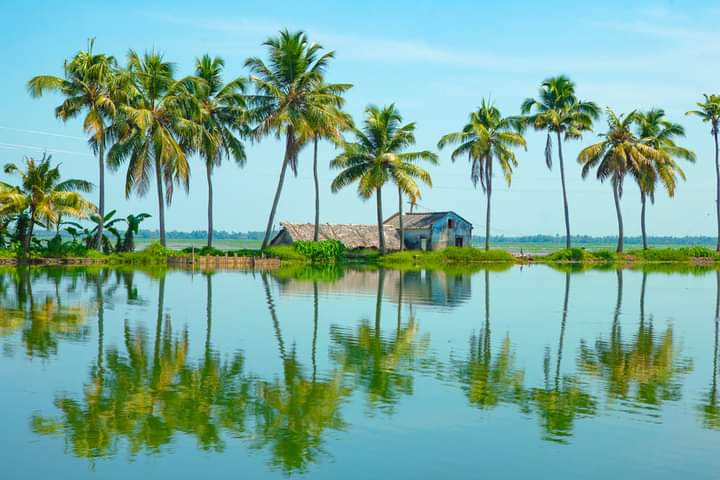 4 Nights 5 Days Kerala Tour