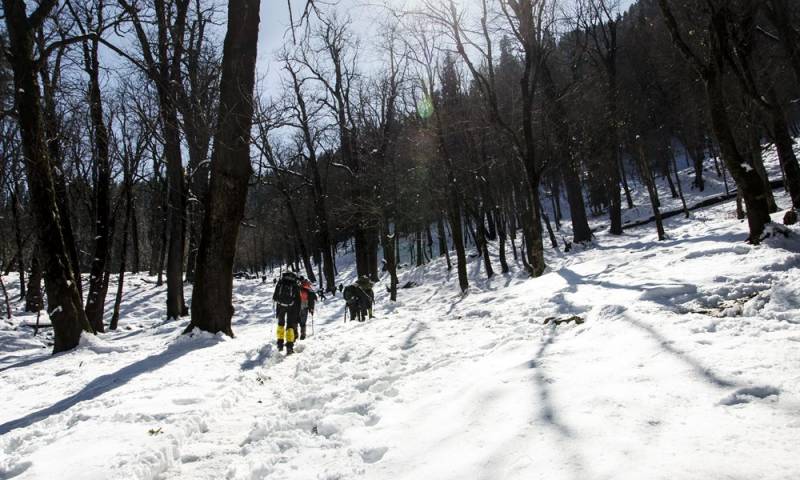 4 Night 5 Days Kedarkantha Winter Trek