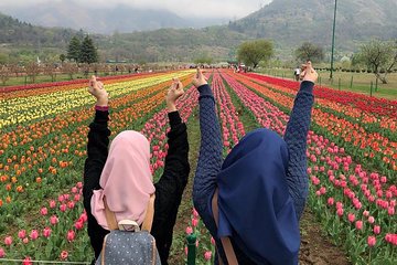 Charismatic 3 Nights 4 Days Kashmir Tour Packages