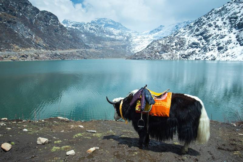 North Sikkim Tour Package 5 Days  4 Nights