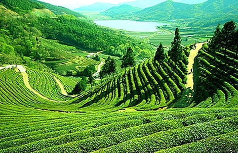 03 Night  04 Days Darjeeling Tour Package