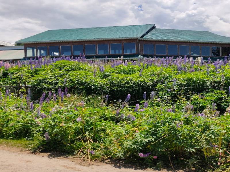 03 Night | 04 Days Srinagar, Houseboat Tour Package