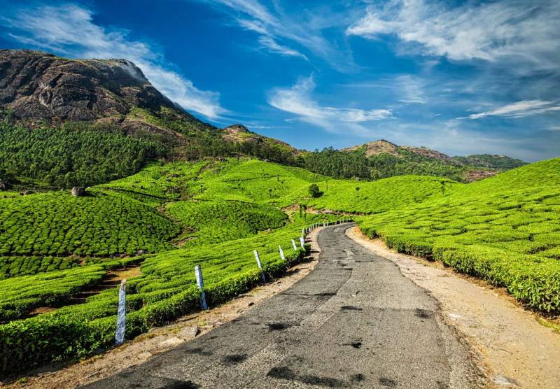 Hills & Houseboat: Munnar and Alleppey Honeymoon Package