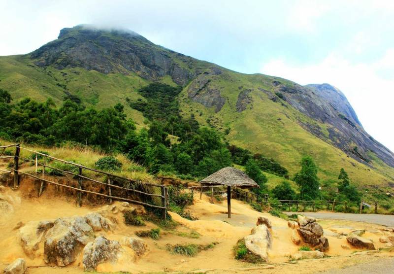 Hills & Houseboat: Munnar and Alleppey Honeymoon Package