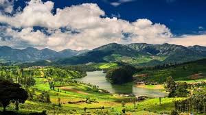 Ooty Holiday Package Image