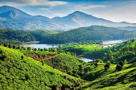 2 Nights 3 Days Munnar