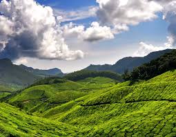 2 nights 3 days Munnar