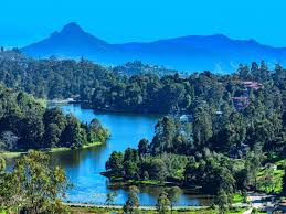 2 nights 3 days Kodaikenal Tour Plan Image