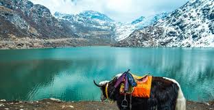 Gangtok and Darjeeling 4nights 5 Days Image