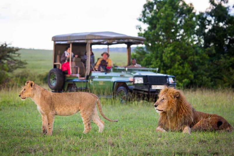 3-Day Best Of Masai Mara Joining Group