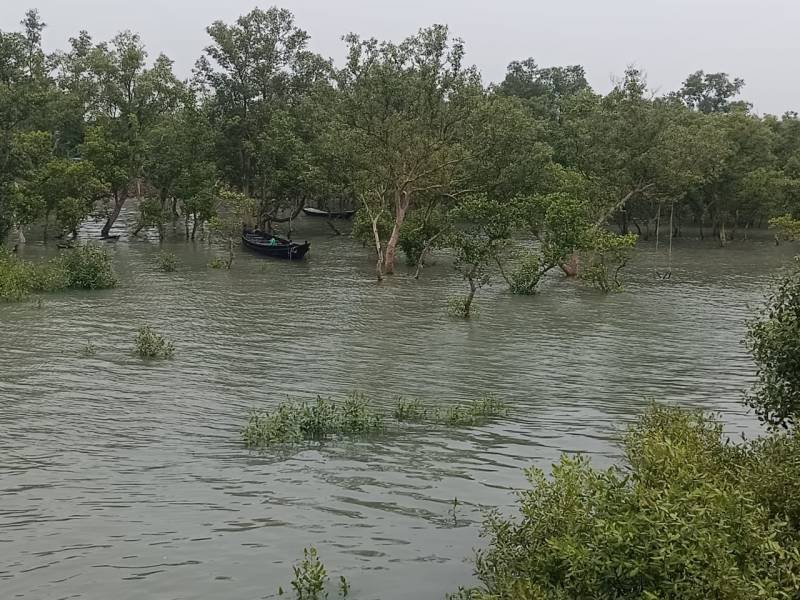 Sunderban Hilsa Utsab