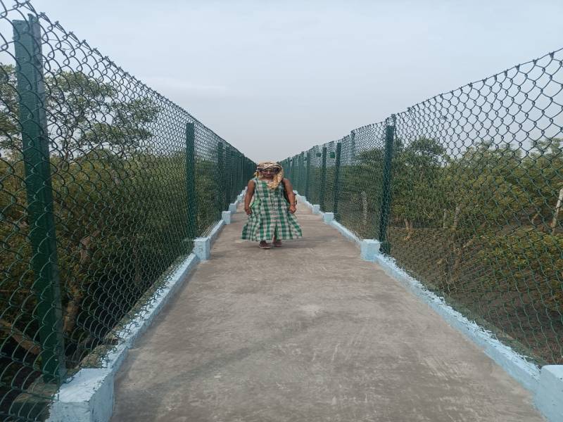 Sunderban Hilsa Utsab