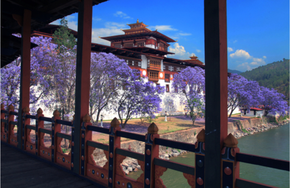 6 Days Bhutan Adventure