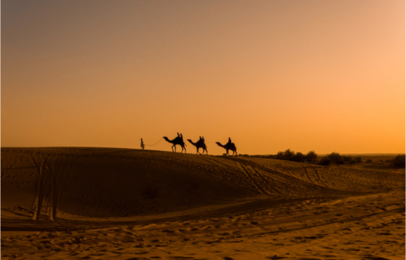 12 Days Majestic Rajasthan Tour