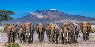 6Nights Kenya - Glimpse Of Mt. Kilimanjaro Package