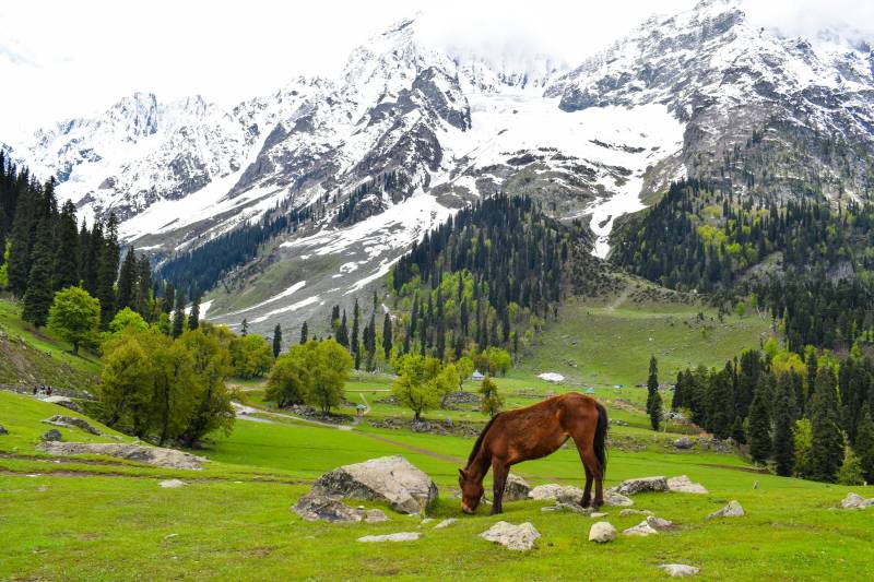Amritsar - Katra - Kashmir Package 10 Days - 9 Nights