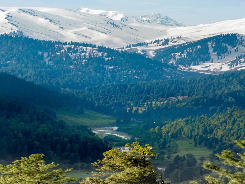 Kashmir Trip With Offbeat Places 8 Nights 9 Days Image