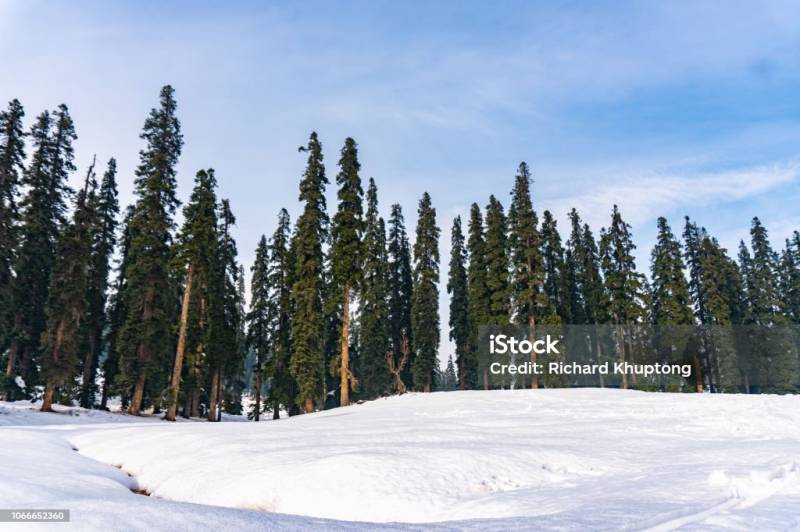 Megnificent Kashmir Trip 6 Nights 7 Days