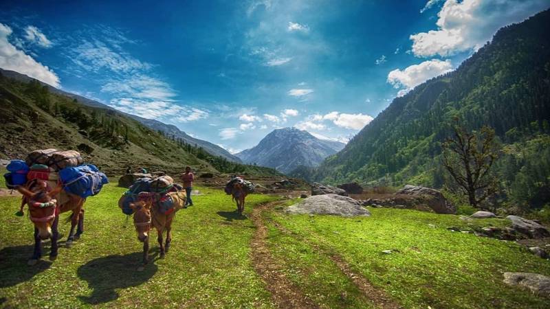 6 Night  7 Days  Har Ki Doon Trek