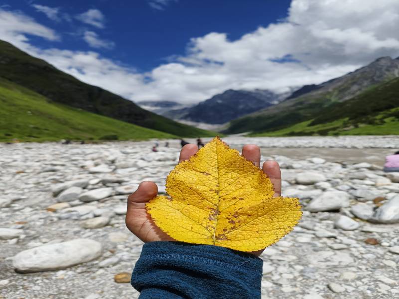 Valley Of Flowers Tour Package