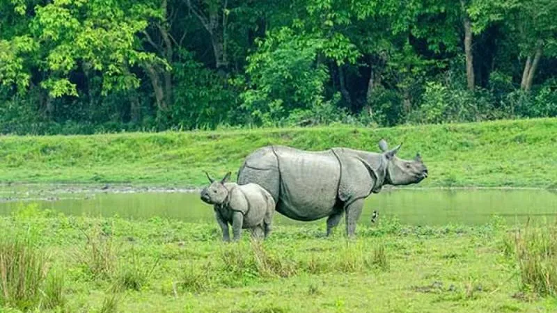 7 Sisters Tour Packages