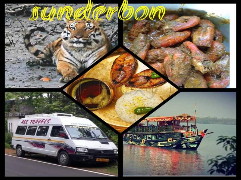 5 Night 6 Days Calcutta Sundarban Gangasagar Trip