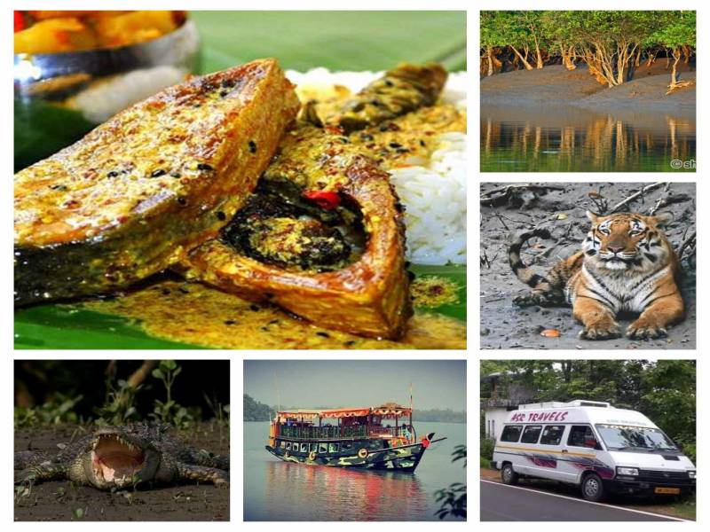 5 Night 6 Days Calcutta Sundarban Gangasagar Trip