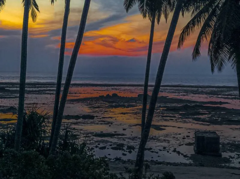 3 Nights 4 Days Discover Delta's Mystery Tour Package....