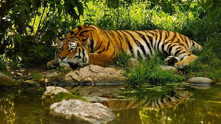 2Nights 3Days Adventure Sundarbon Tour Package