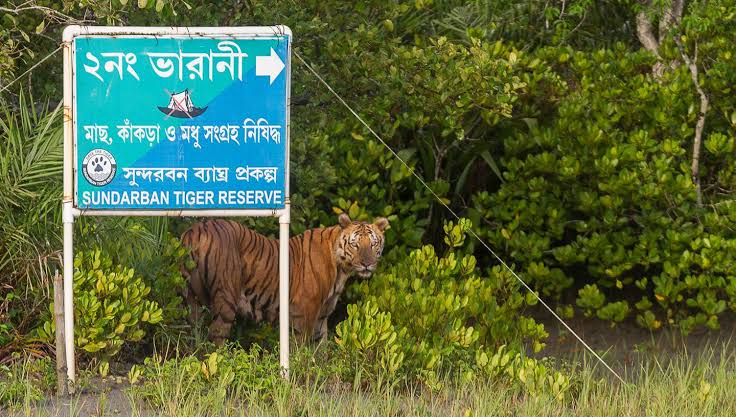 2Nights 3Days Adventure Sundarbon Tour Package