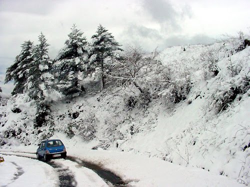 5 Night 6 Days Guwahati To Tawang Tour Package
