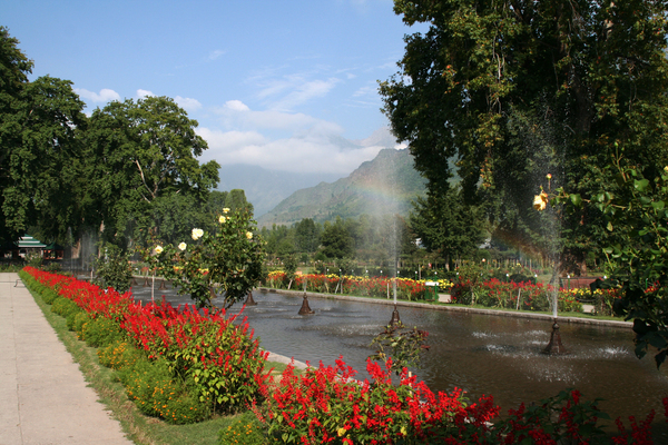 5 Nights 6 Days Kashmir Tour Package