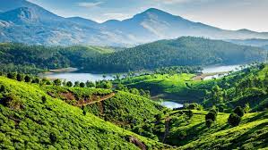 6 NIGHTS 7 DAYS KERALA PACKAGE Image