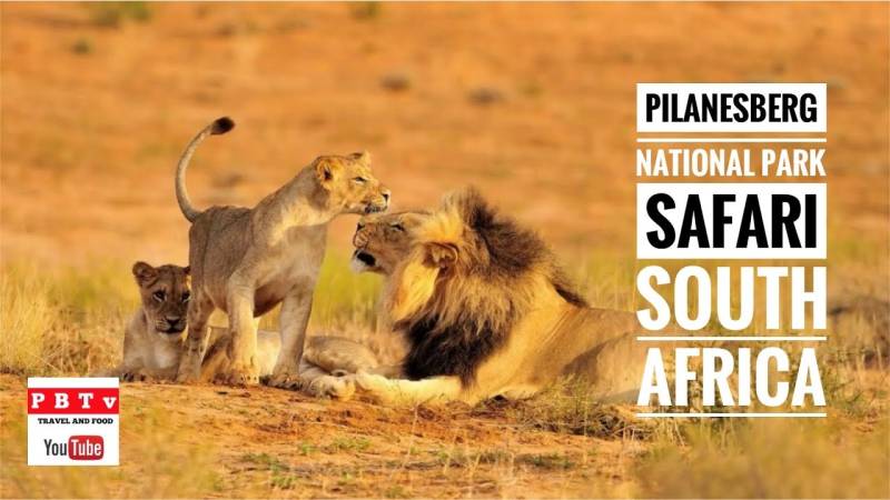 Spectacular South Africa