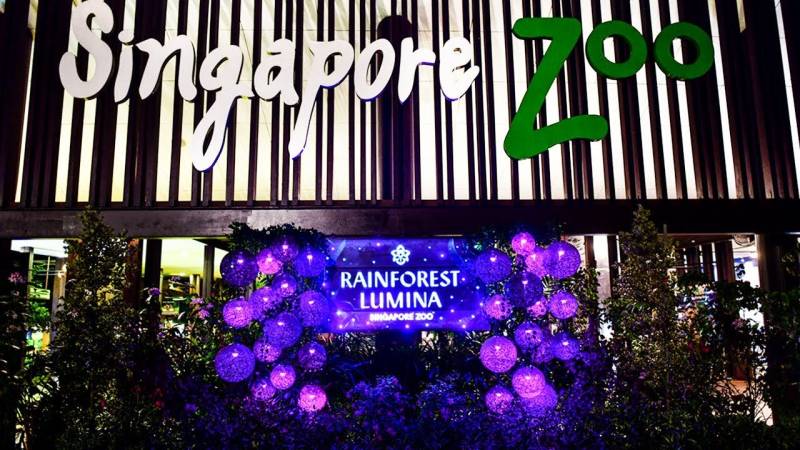 Bali - Singapore Tour