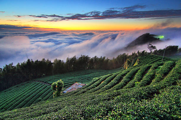 Exciting Sikkim: Gangtok, North Sikkim, Pelling & Darjeeling Package.