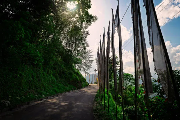 10 Days Captivating Sikkim Trip Hoodophiles Exclusive