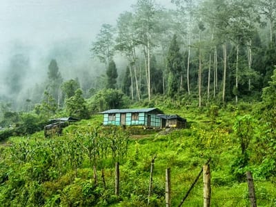 Darjeeling and East - North Sikkim Honeymoon Package for 7 Nights 8 Days