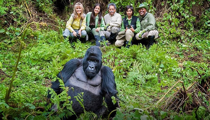 3 Days Unforgettable Gorilla Safari and Twins lakes