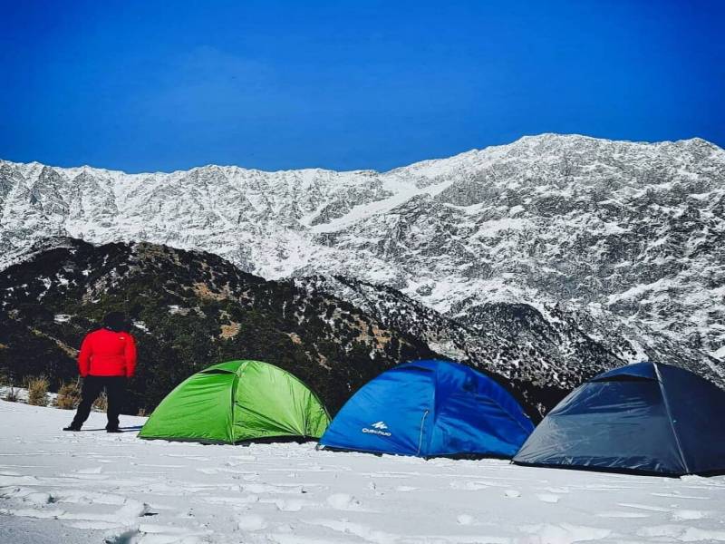 Delhi - Shimla - Manali Tour