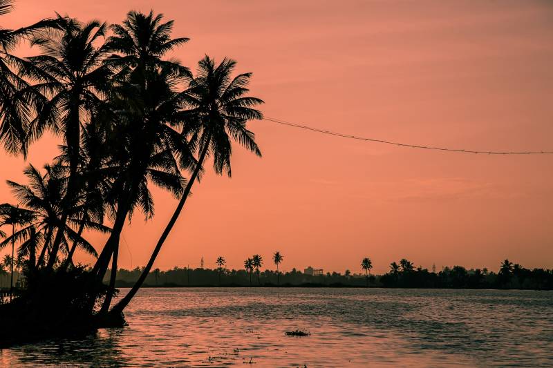 Hills & Houseboat Munnar and Alleppey Honeymoon Package 5N-6D