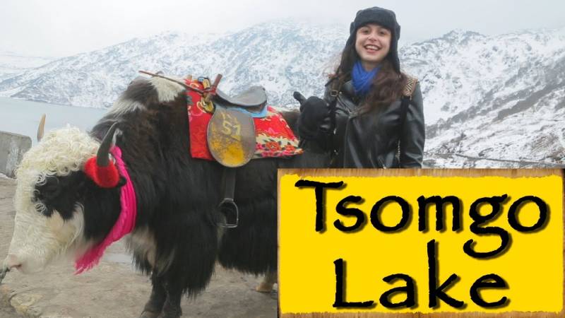 Exotic Gangtok & Darjeeling Package 4N-5D