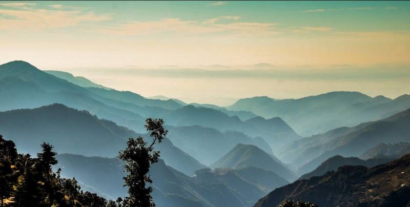 Dhanaulti Tour Package For 2 Nights 3 Days