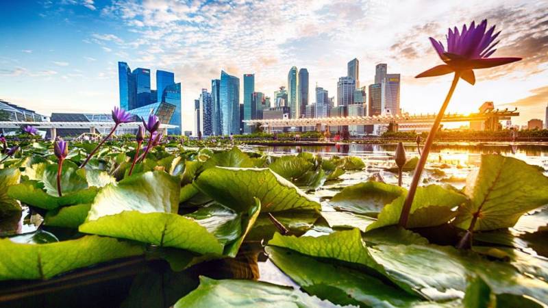 Luxury At Singapore 6 Days & 5 Nights