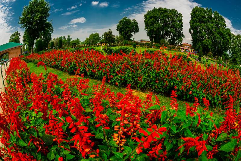 Blissful Kashmir - Honeymoon Package 6 Nights - 7 Days