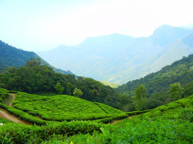 Blissful Kerala Honeymoon Tour Package 6N-7D