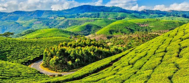 Splendid Coorg and Ooty Package 4N-5D