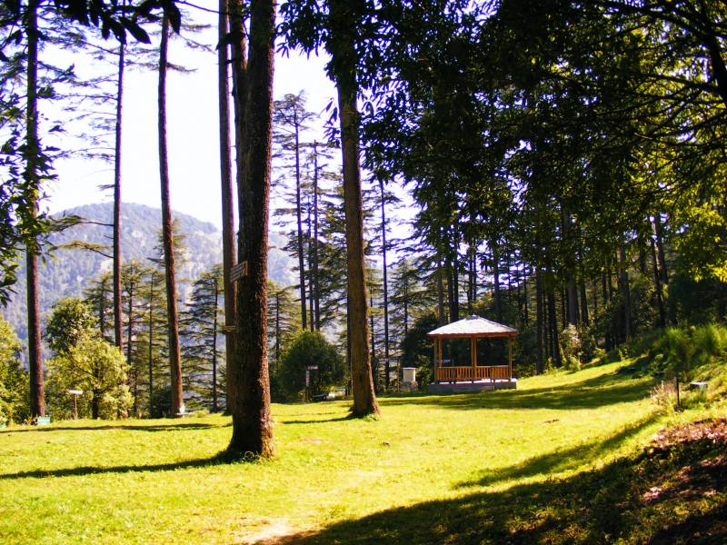 Dhanaulti Tour Package From Dehradun