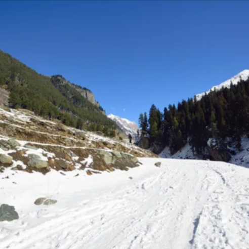 Romantic Rendezvous in Kashmir